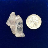 Colombian Lemurian Cluster