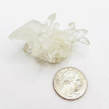 Columbian Lemurian Cluster