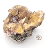 Exquisite, Rare Yellow Fluorite Cluster w/ Purple Fluorite
