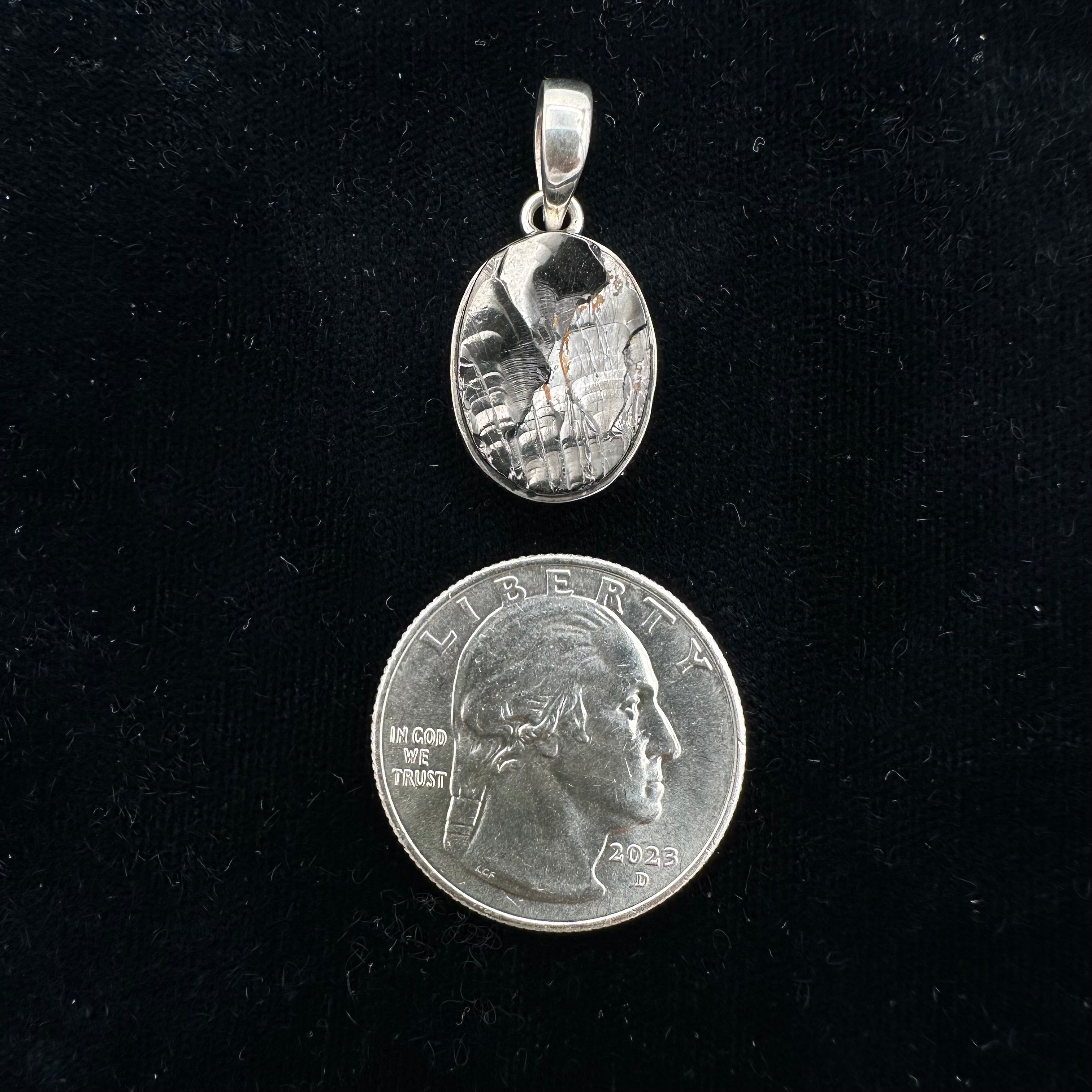 Shungite Pendant