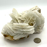 Gypsum Angel Wing Selenite Cluster w/ Mica& Iron Inclusion