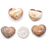Picture Jasper Mini Hearts