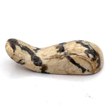 Polished Zebradorite