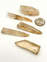 Golden Healer Lemurian Points