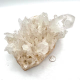 Quartz Cluster