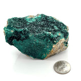 Stunning Druzy Malachite in Matrix