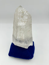 Lemurian Quartz