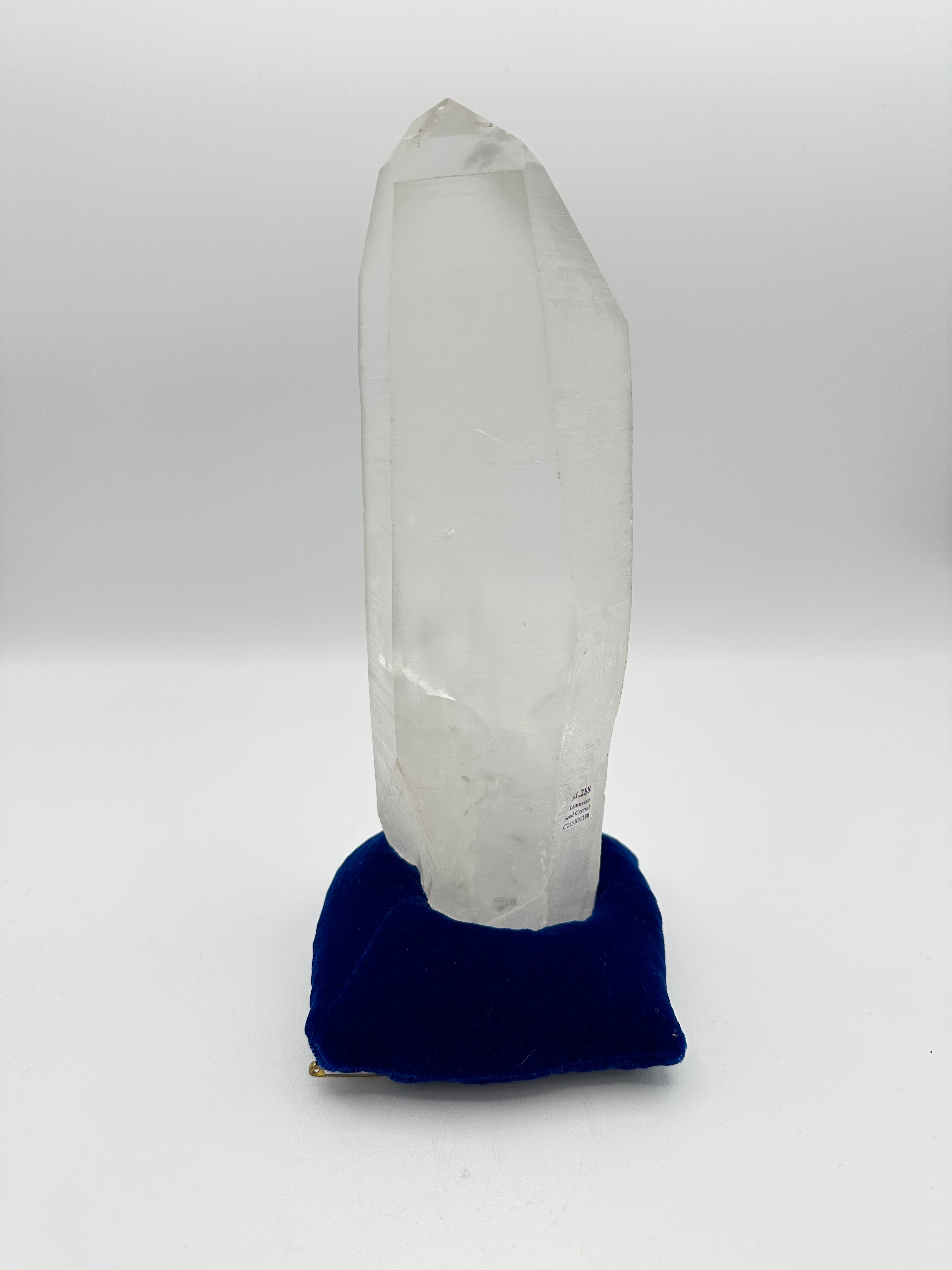 Lemurian Quartz