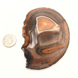 Gorgeous Agate Slice
