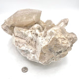 Beautiful Quartzcite Cluster, Angel Wing Formation Selenite in Feldspar/ Potassium Matrix