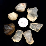 Libyan Tektite 7-9g