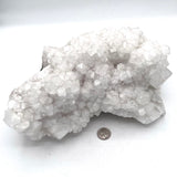 Large Apophyllite Cluster