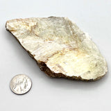 Gold Muscovite Mica- Beautiful Shimmery Sheet