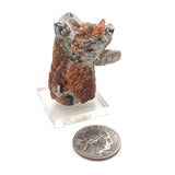 Rare Formation of Beautiful Spessartine Garnet w/ Smoky Quartz Points