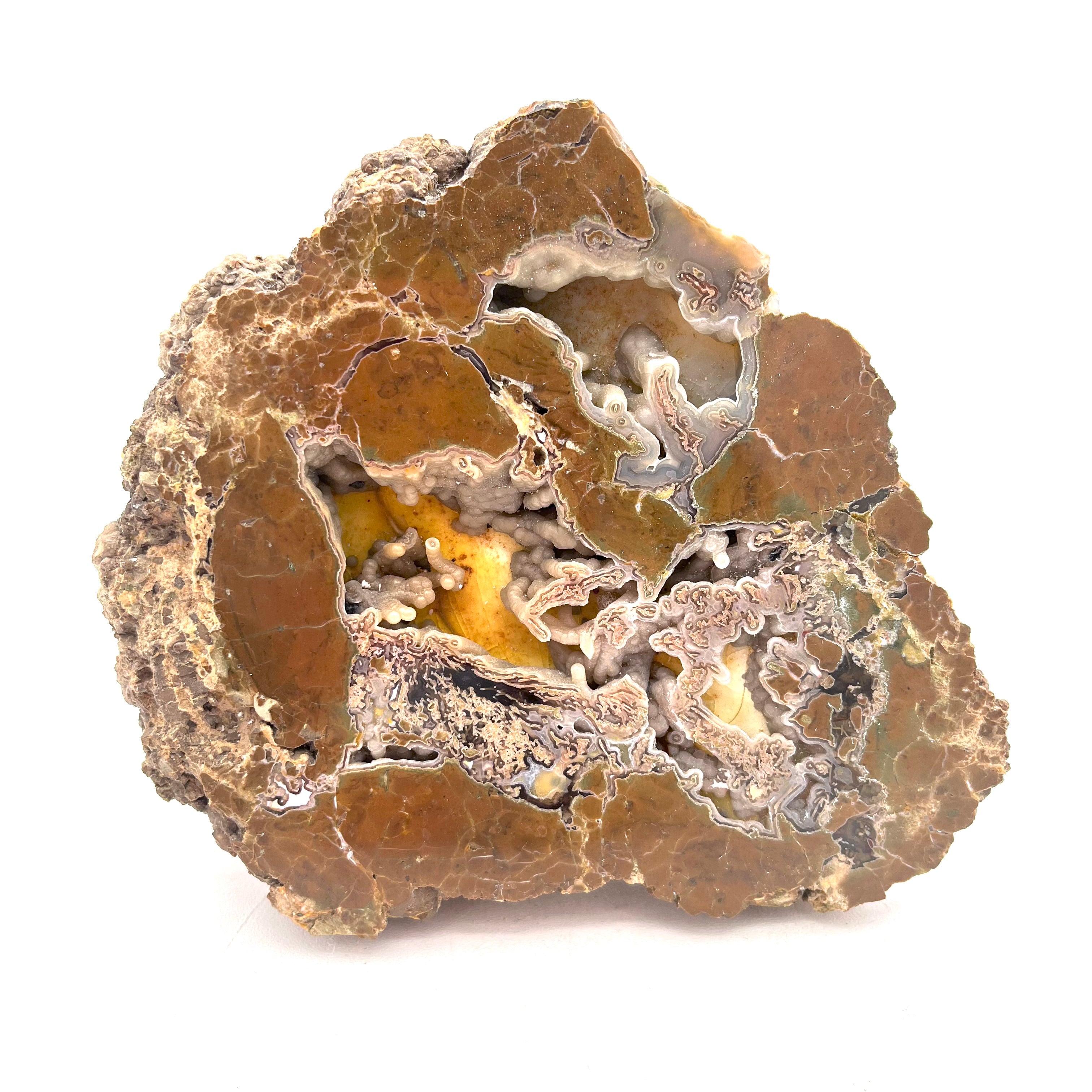 Ocean Jasper