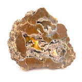 Ocean Jasper