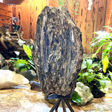 Huge Stunning Raw Kyanite- Blue w/ Black- Rare Find