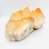 Golden Healer Lemurian