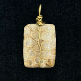 Fossilized Coral Pendant