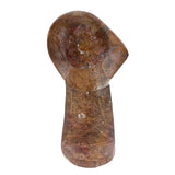 Ammonite