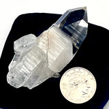 Powerful Colombian Lemurian Clear Point