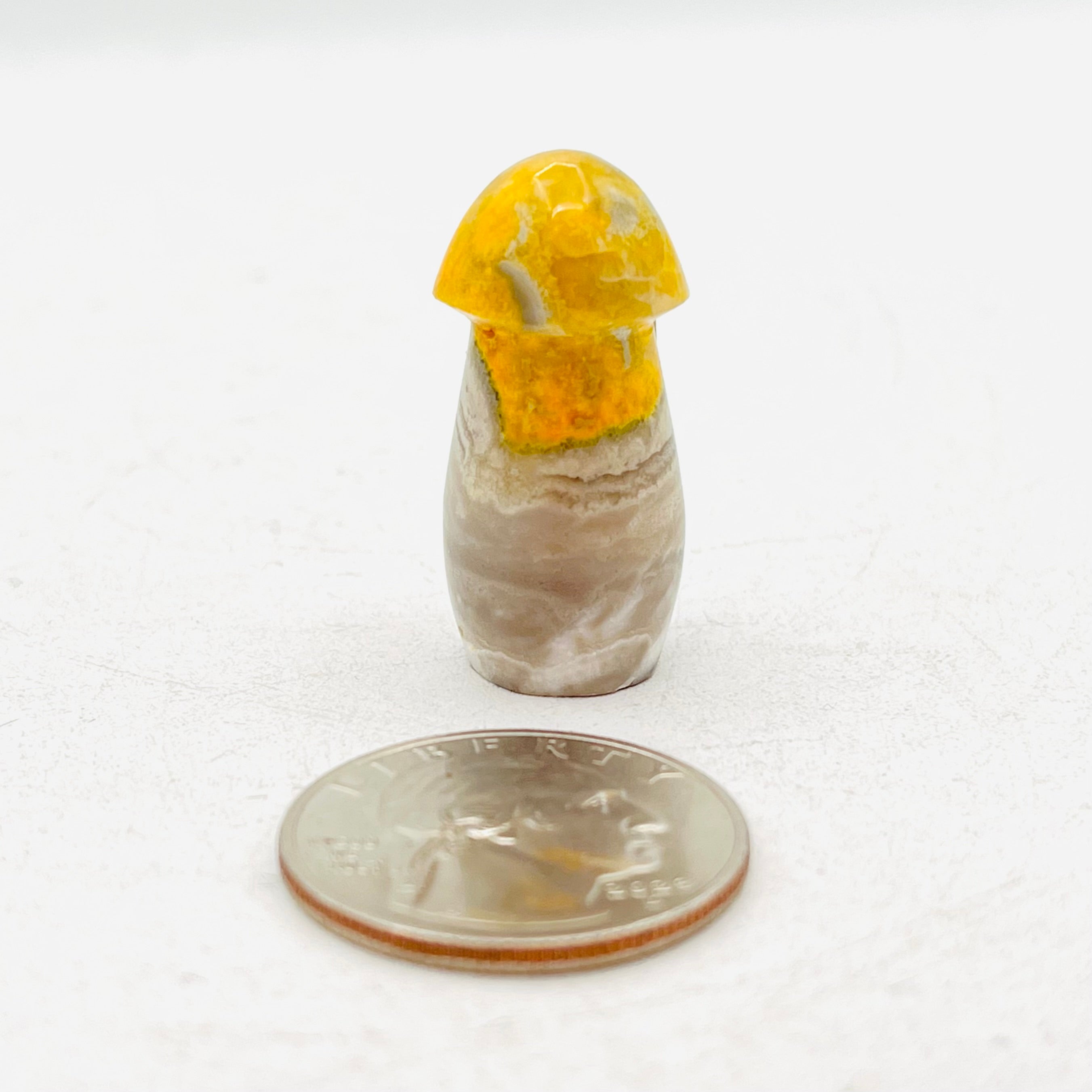 Bumblebee Jasper Mushroom