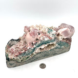 Rare, Unique Moss Agate, Spirit/ Aura Quartz, Cactus Formation w/ Calcite Points& Botryoidal Pink Quartz