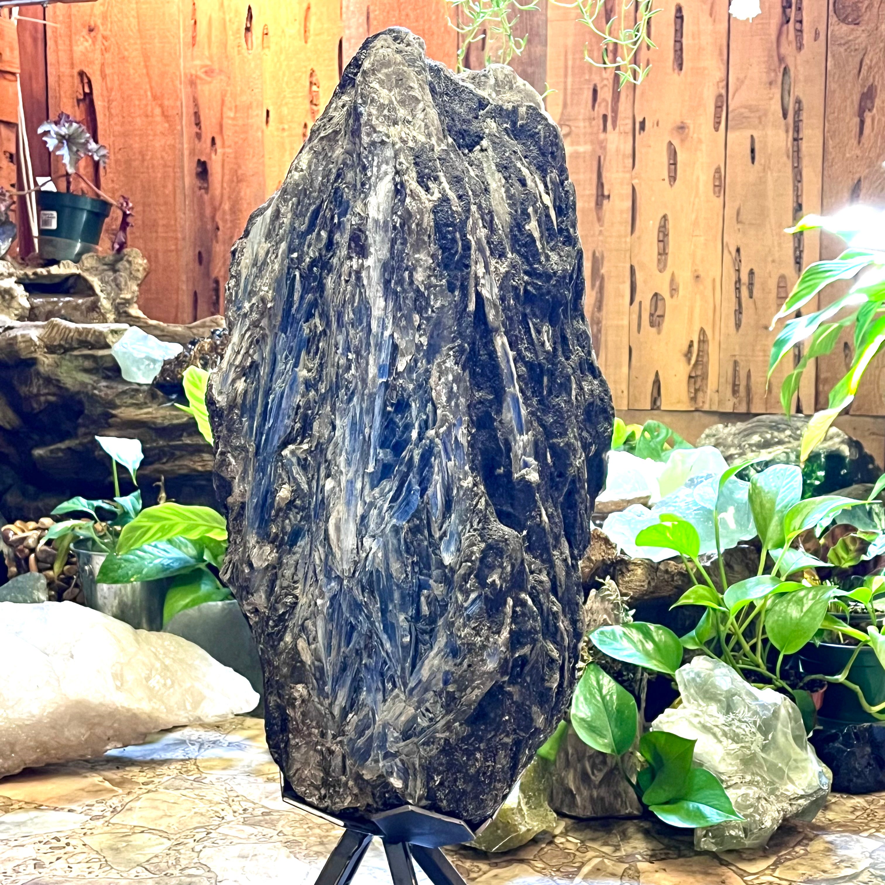 Huge Stunning Raw Kyanite- Blue w/ Black- Rare Find