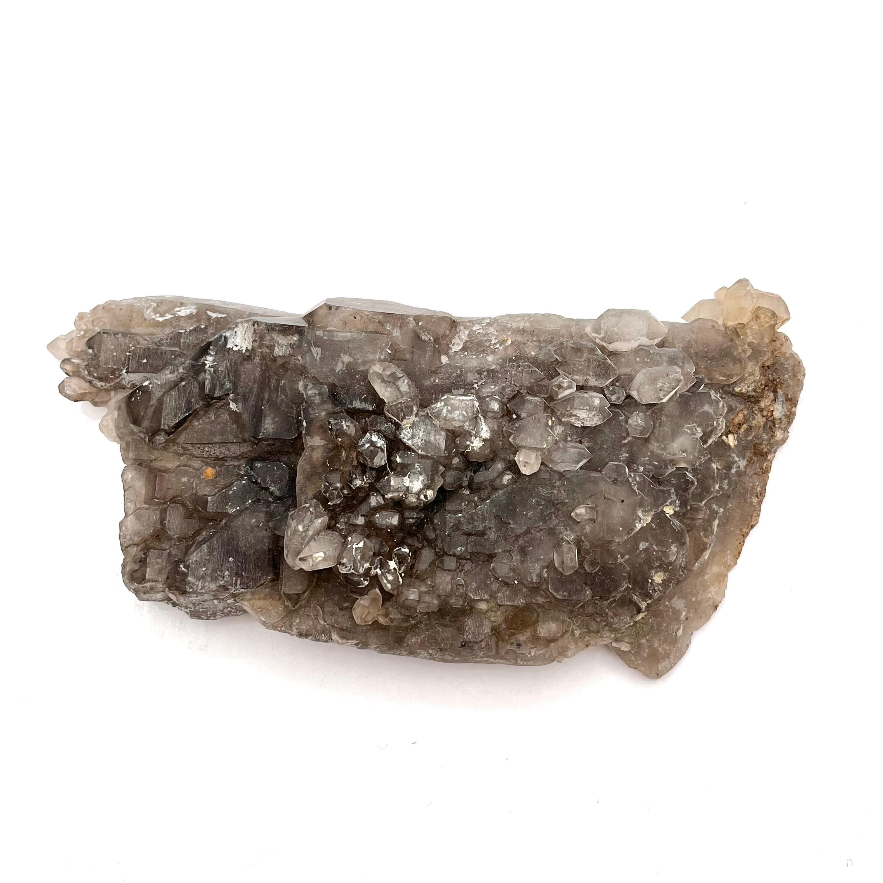 Smoky Quartz Alligator Elestial