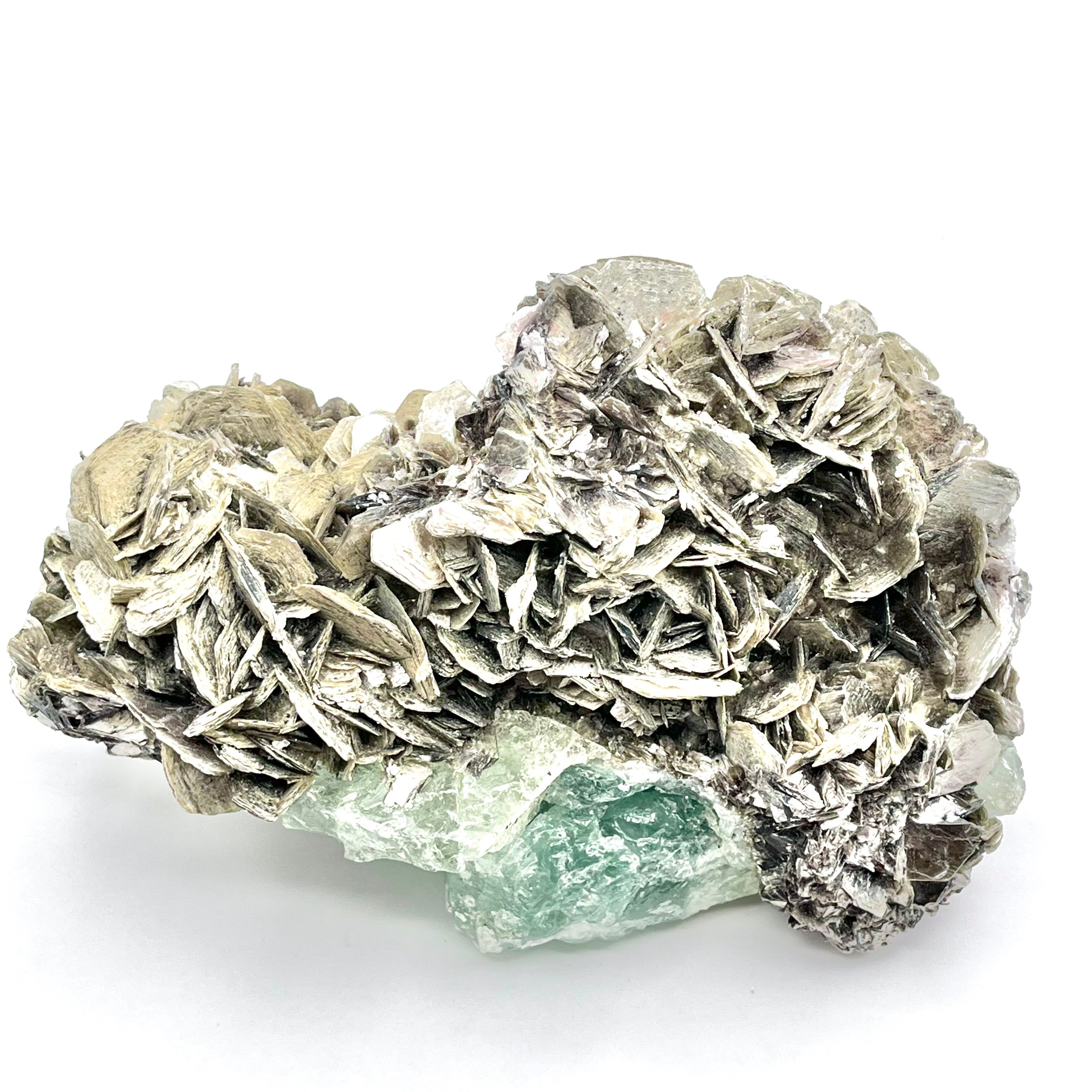 Exquisite Aquamarine Cluster w/ Mica & Clevelandite