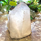 Stunning Raw Quartz Point