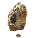 Ocean Jasper