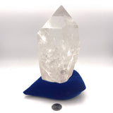 Lemurian Quartz
