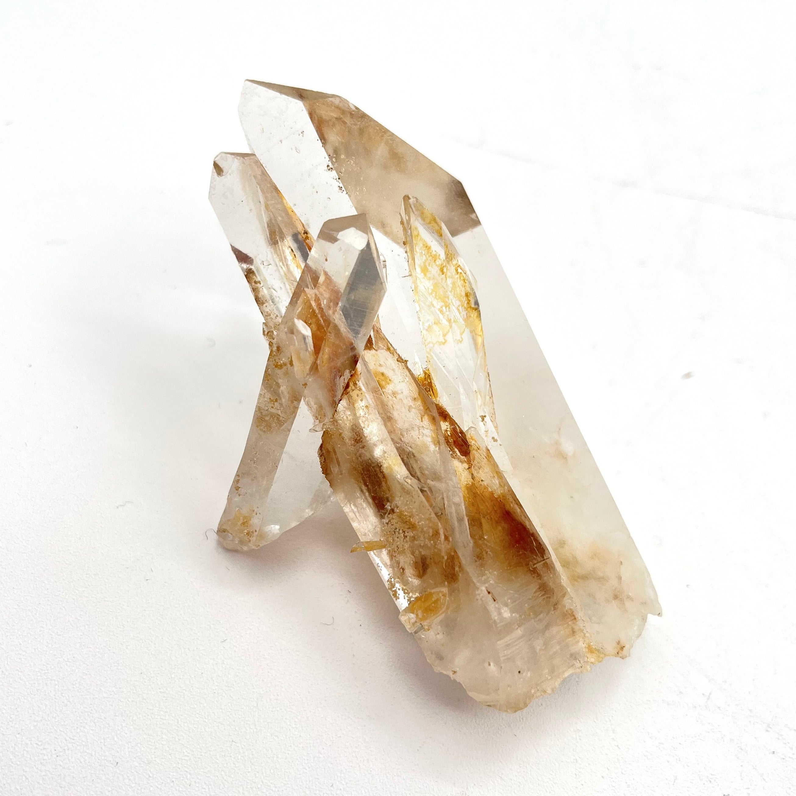 Stunning Columbian Lemurian Points with Golden Healer Inclusion