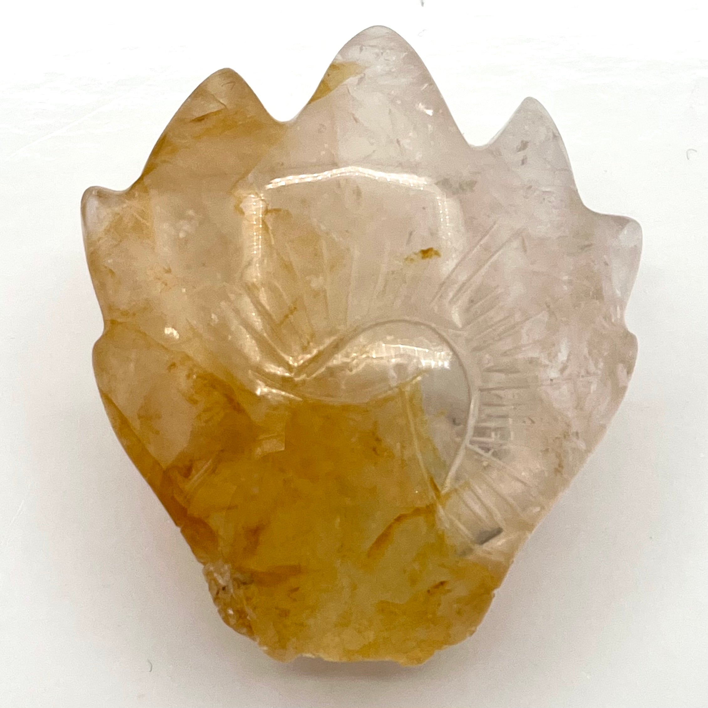 Golden Healer Dragon Head