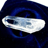 Powerful Colombian Lemurian Clear Point