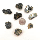 Golden Rutile in Hematite 10-15g
