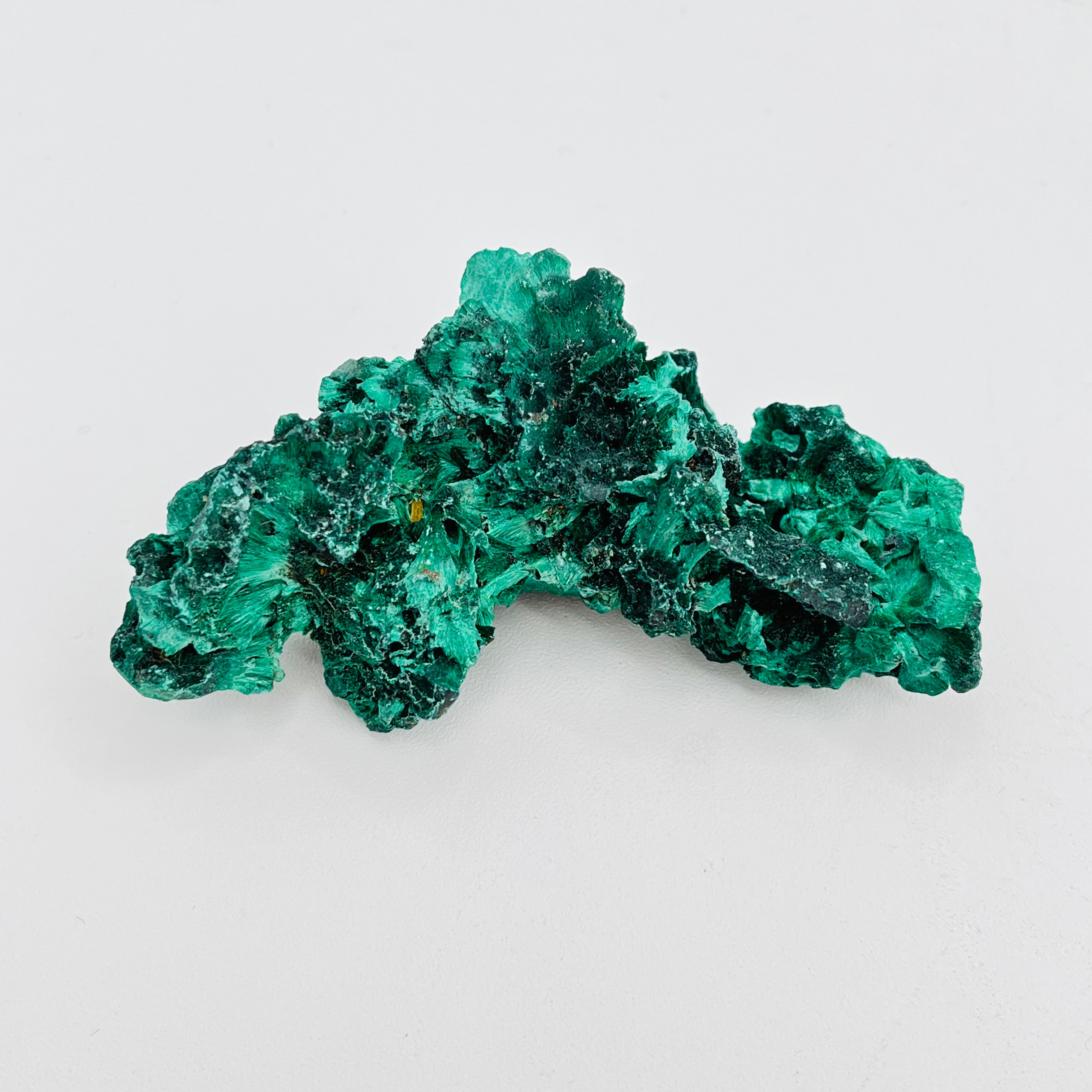 Velvet Fibrous Malachite