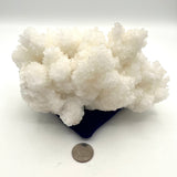 Cave Aragonite