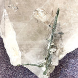 Extra Large Light Smoky Quartz w/ Beautiful Green Tourmaline Inclusions