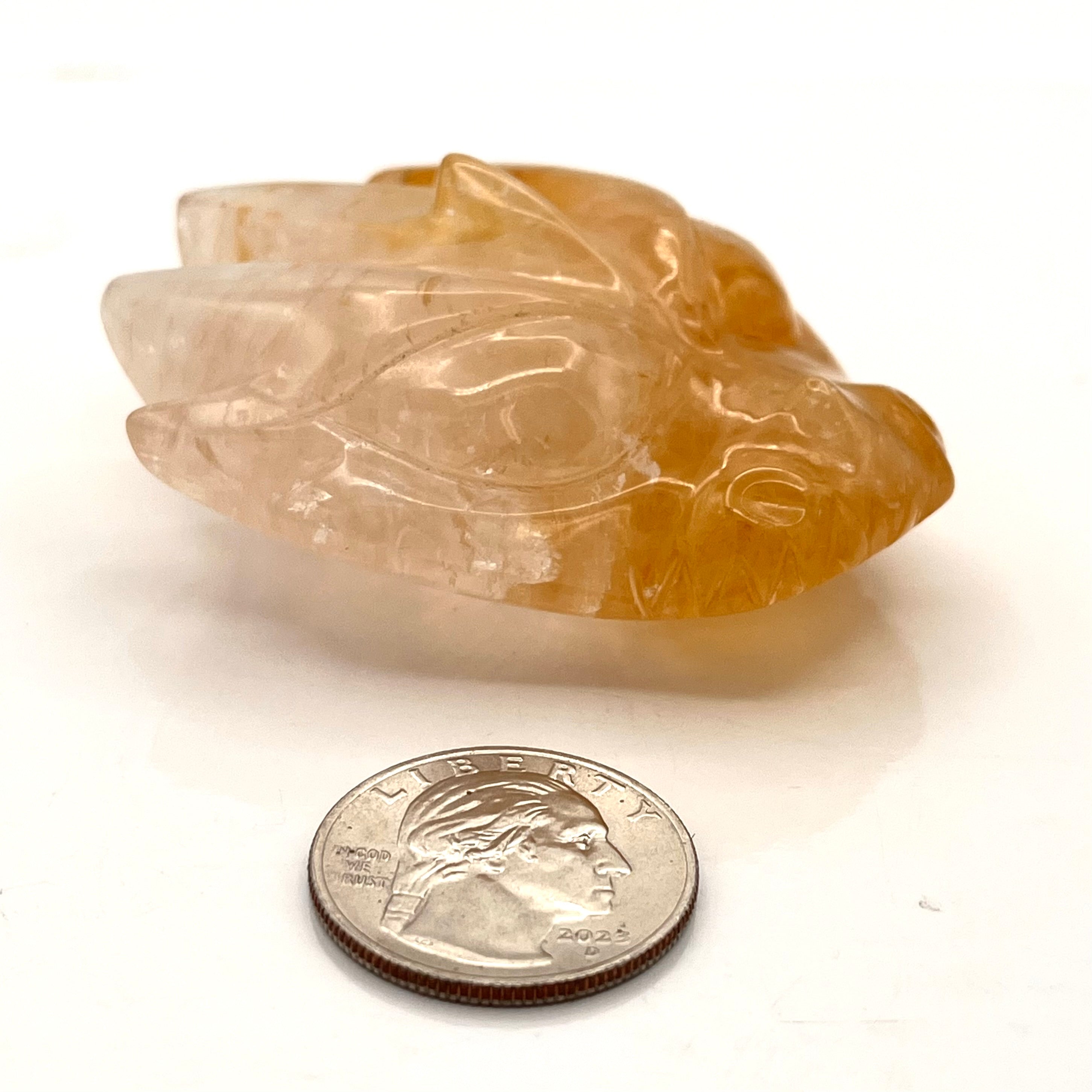 Golden Healer Dragon Head