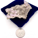 Vera Cruz Amethyst