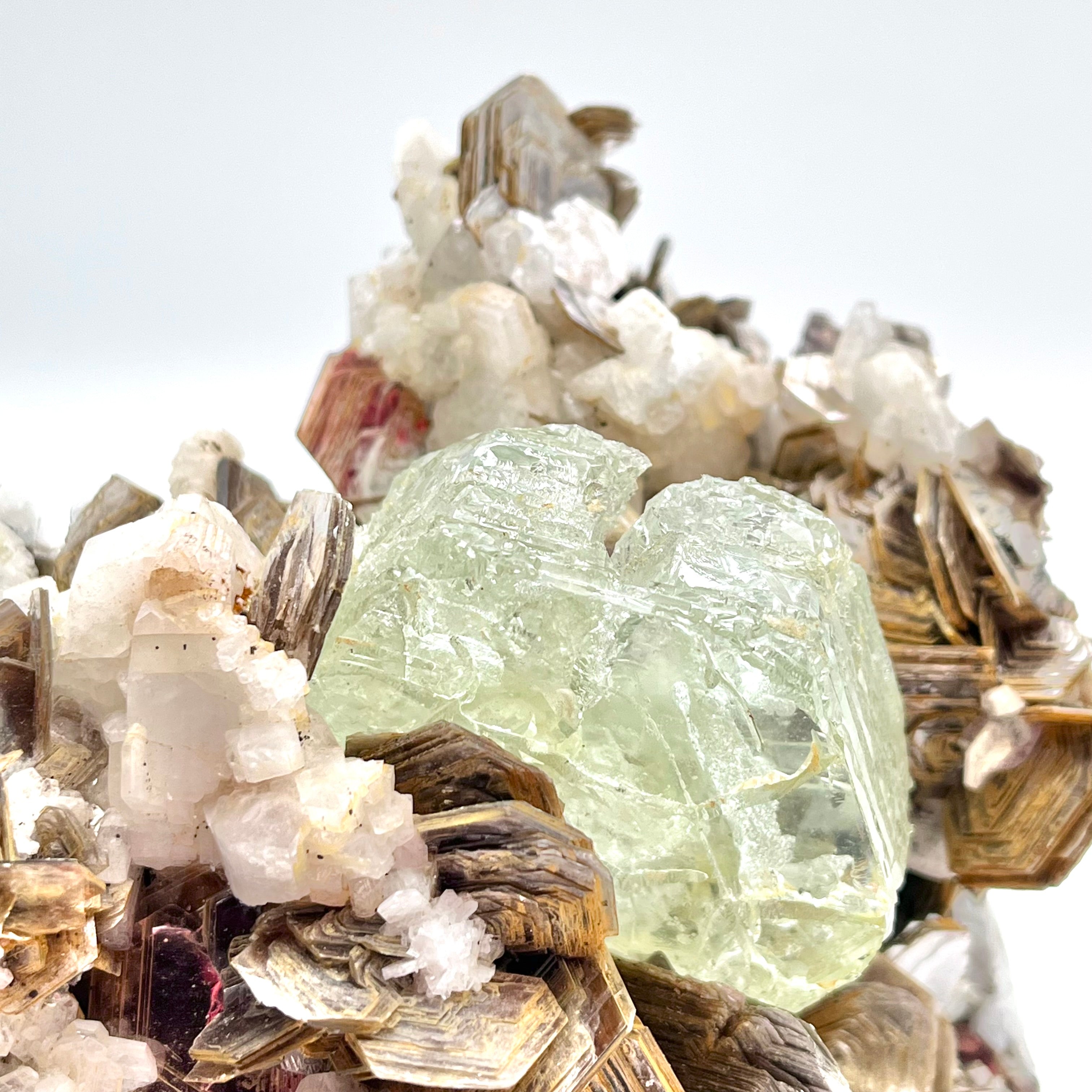 Exquisite Aquamarine Cluster w/ Mica & Clevelandite