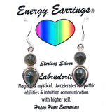 Labradorite Energy Earrings