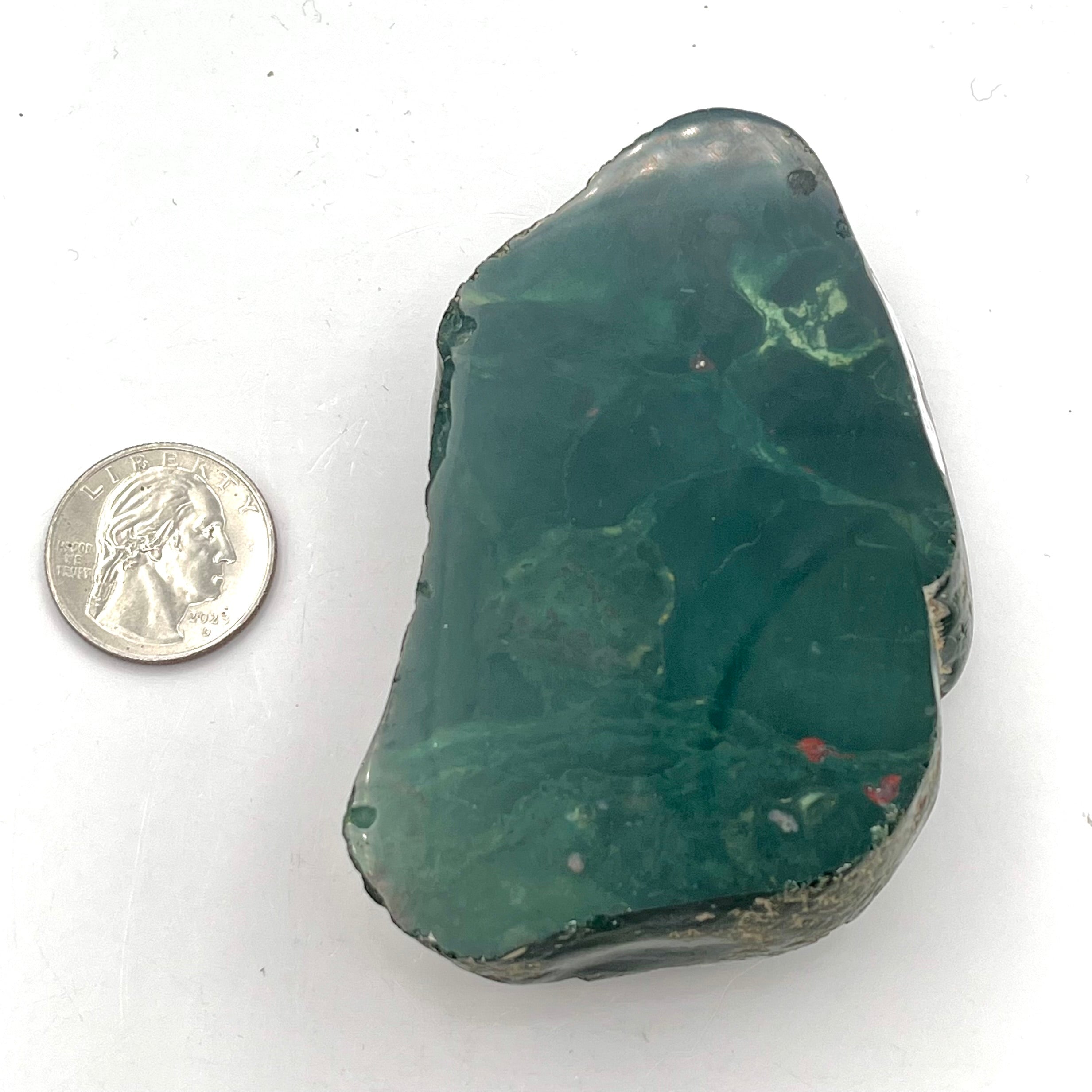 Polished Bloodstone- 1 Raw Side
