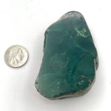 Polished Bloodstone- 1 Raw Side