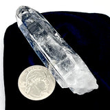 Powerful Colombian Lemurian Clear Point