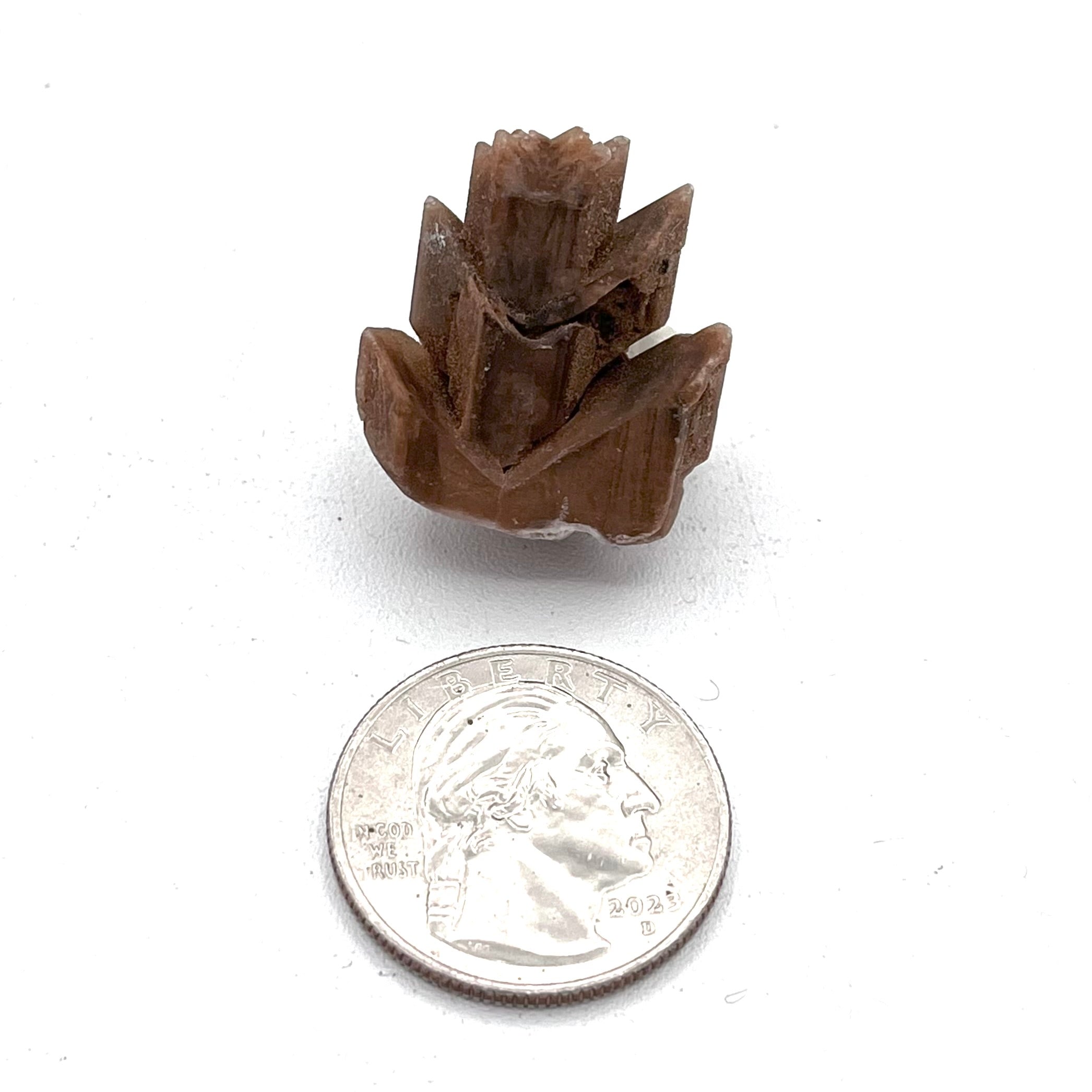 Gypsum Variety Selenite- Great Salt Plains Oklahoma