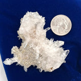 Colombian Lemurian Needlepoint Cluster