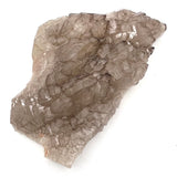 Beautiful Smoky Quartz Alligator Elestial